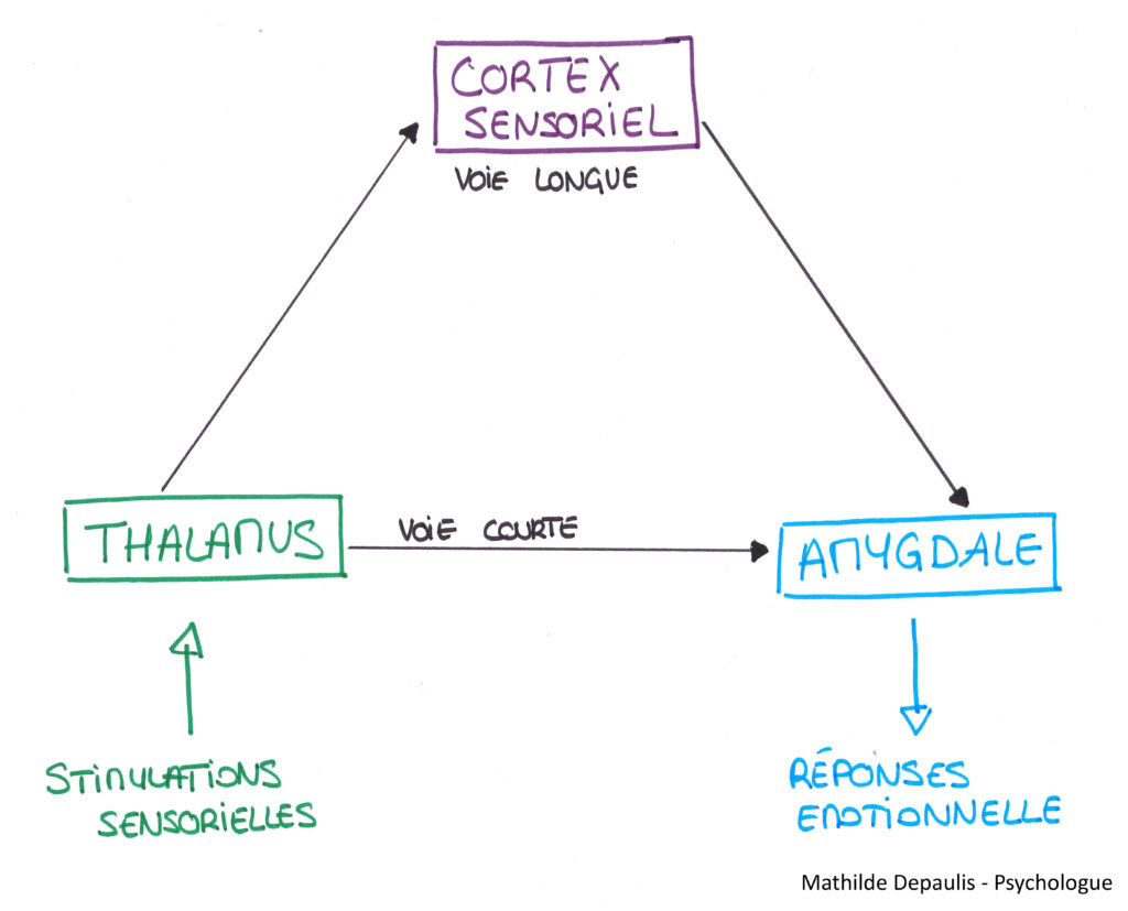 Modèle de LeDoux